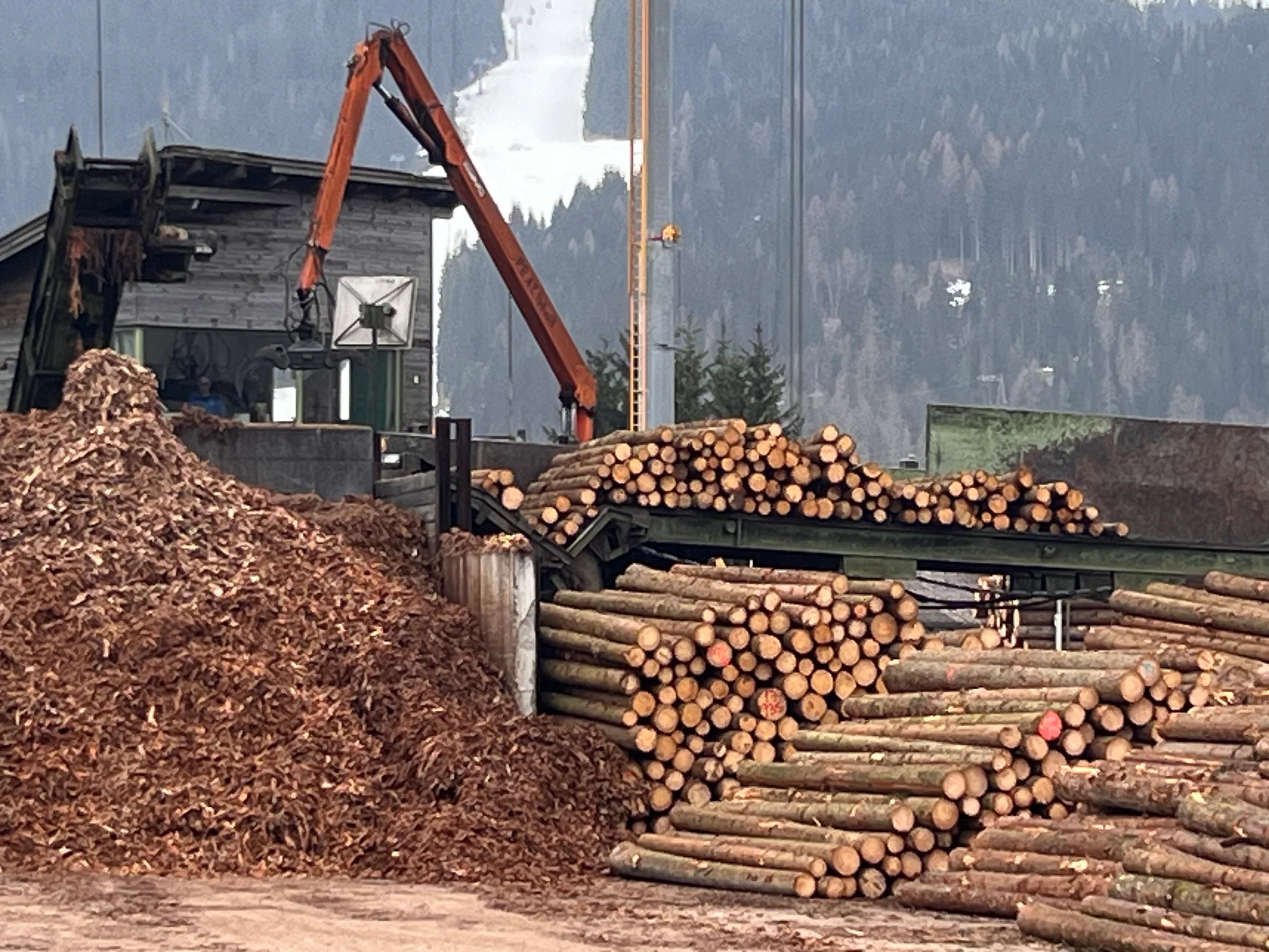 Log sorting plant with debarker